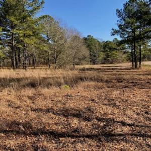 Photo of SOLD!  11 Acres of Residential and Recreational Land For Sale in Craven County NC!