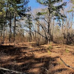 Photo of SOLD!  11 Acres of Residential and Recreational Land For Sale in Craven County NC!
