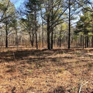 Photo of SOLD!  11 Acres of Residential and Recreational Land For Sale in Craven County NC!