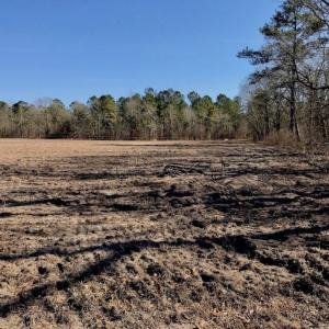 Photo of SOLD!  11 Acres of Residential and Recreational Land For Sale in Craven County NC!