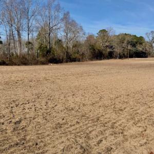 Photo of SOLD!  11 Acres of Residential and Recreational Land For Sale in Craven County NC!