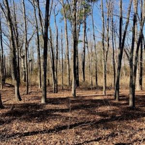 Photo of SOLD!  11 Acres of Residential and Recreational Land For Sale in Craven County NC!