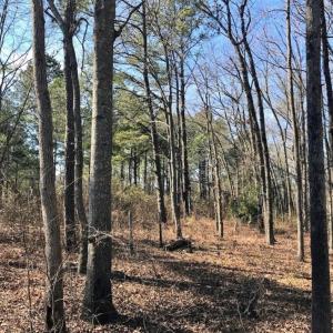 Photo of SOLD!  11 Acres of Residential and Recreational Land For Sale in Craven County NC!