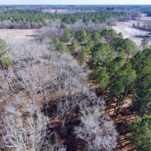 Photo of SOLD!  11 Acres of Residential and Recreational Land For Sale in Craven County NC!