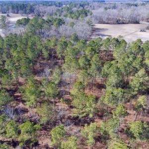 Photo of UNDER CONTRACT!  13.5 Acres of Farm and Timber Land For Sale In Craven County NC!