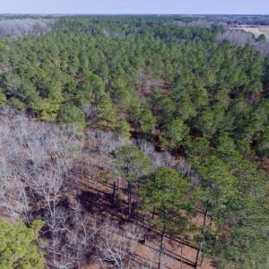 Photo of UNDER CONTRACT!  13.5 Acres of Farm and Timber Land For Sale In Craven County NC!