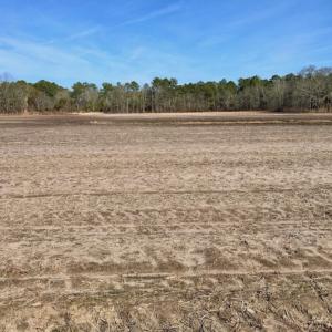 Photo of UNDER CONTRACT!  13.5 Acres of Farm and Timber Land For Sale In Craven County NC!