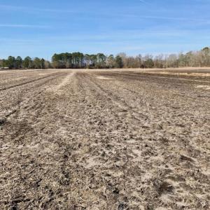 Photo of UNDER CONTRACT!  13.5 Acres of Farm and Timber Land For Sale In Craven County NC!