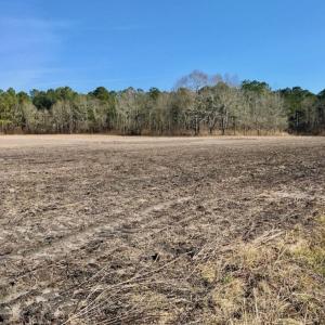 Photo of UNDER CONTRACT!  13.5 Acres of Farm and Timber Land For Sale In Craven County NC!