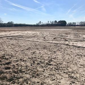 Photo of UNDER CONTRACT!  13.5 Acres of Farm and Timber Land For Sale In Craven County NC!