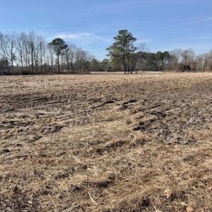 Photo of UNDER CONTRACT!  13.5 Acres of Farm and Timber Land For Sale In Craven County NC!