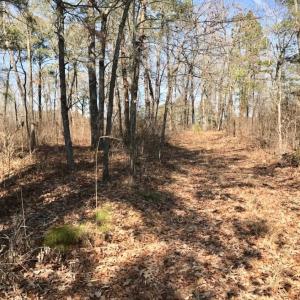 Photo of UNDER CONTRACT!  13.5 Acres of Farm and Timber Land For Sale In Craven County NC!