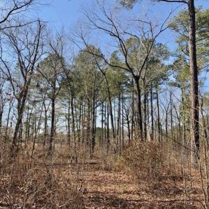 Photo of UNDER CONTRACT!  13.5 Acres of Farm and Timber Land For Sale In Craven County NC!