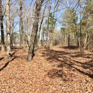 Photo of UNDER CONTRACT!  13.5 Acres of Farm and Timber Land For Sale In Craven County NC!