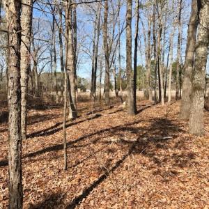 Photo of UNDER CONTRACT!  13.5 Acres of Farm and Timber Land For Sale In Craven County NC!