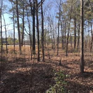 Photo of UNDER CONTRACT!  13.5 Acres of Farm and Timber Land For Sale In Craven County NC!