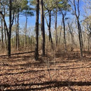 Photo of UNDER CONTRACT!  13.5 Acres of Farm and Timber Land For Sale In Craven County NC!