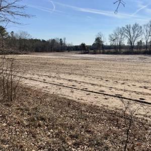 Photo of UNDER CONTRACT!  13.5 Acres of Farm and Timber Land For Sale In Craven County NC!