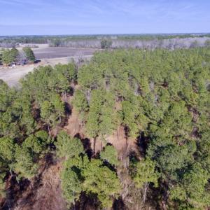 Photo of UNDER CONTRACT!  13.5 Acres of Farm and Timber Land For Sale In Craven County NC!