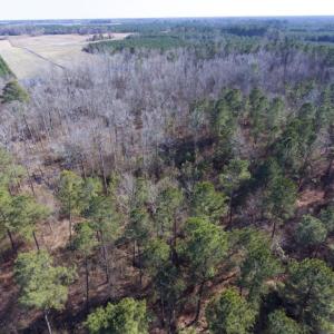 Photo of UNDER CONTRACT!  13.5 Acres of Farm and Timber Land For Sale In Craven County NC!