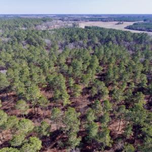 Photo of UNDER CONTRACT!  14.7 Acres of Farm and Residential Land For Sale in Craven County NC!