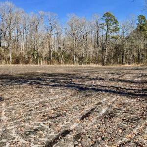 Photo of UNDER CONTRACT!  14.7 Acres of Farm and Residential Land For Sale in Craven County NC!