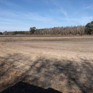 Photo of UNDER CONTRACT!  14.7 Acres of Farm and Residential Land For Sale in Craven County NC!