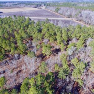 Photo of UNDER CONTRACT!  14.7 Acres of Farm and Residential Land For Sale in Craven County NC!
