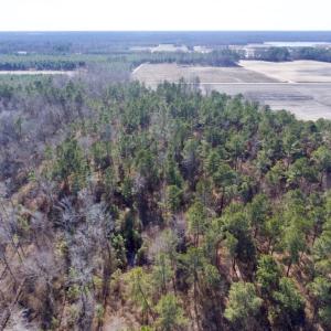 Photo of UNDER CONTRACT!  18 Acres of Residential and Recreational Land For Sale in Craven County NC!