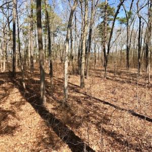 Photo of UNDER CONTRACT!  18 Acres of Residential and Recreational Land For Sale in Craven County NC!