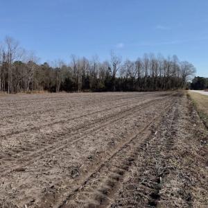 Photo of UNDER CONTRACT!  18 Acres of Residential and Recreational Land For Sale in Craven County NC!