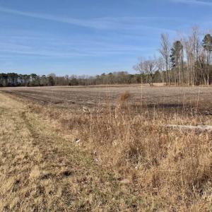 Photo of UNDER CONTRACT!  18 Acres of Residential and Recreational Land For Sale in Craven County NC!