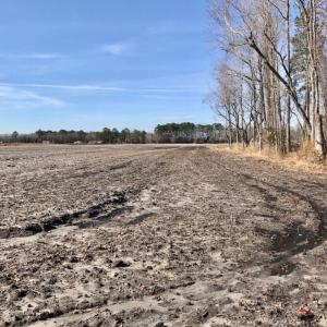 Photo of UNDER CONTRACT!  18 Acres of Residential and Recreational Land For Sale in Craven County NC!