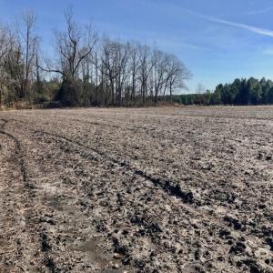 Photo of UNDER CONTRACT!  18 Acres of Residential and Recreational Land For Sale in Craven County NC!