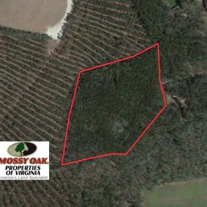 Photo of UNDER CONTRACT!  16.7 Acres of Hunting Land For Sale in Southampton County VA!