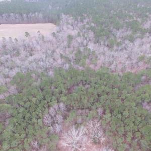 Photo of UNDER CONTRACT!  16.7 Acres of Hunting Land For Sale in Southampton County VA!