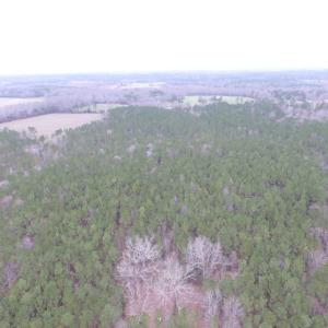 Photo of UNDER CONTRACT!  16.7 Acres of Hunting Land For Sale in Southampton County VA!