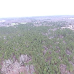 Photo of UNDER CONTRACT!  16.7 Acres of Hunting Land For Sale in Southampton County VA!
