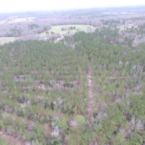 Photo of UNDER CONTRACT!  16.7 Acres of Hunting Land For Sale in Southampton County VA!