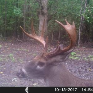 Photo of UNDER CONTRACT!  16.7 Acres of Hunting Land For Sale in Southampton County VA!