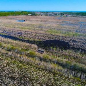 Photo of SOLD!!  72.5 Acres of Productive Farm Land and Duck Impoundment For Sale in Hyde County NC!
