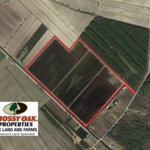 Photo of SOLD!!  72.5 Acres of Productive Farm Land and Duck Impoundment For Sale in Hyde County NC!