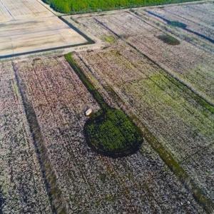 Photo of SOLD!!  72.5 Acres of Productive Farm Land and Duck Impoundment For Sale in Hyde County NC!