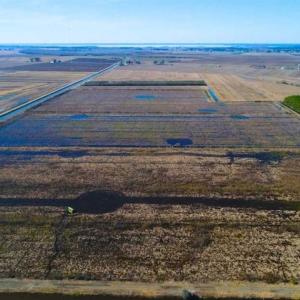 Photo of SOLD!!  72.5 Acres of Productive Farm Land and Duck Impoundment For Sale in Hyde County NC!