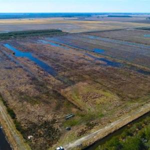 Photo of SOLD!!  72.5 Acres of Productive Farm Land and Duck Impoundment For Sale in Hyde County NC!