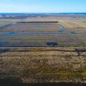 Photo of SOLD!!  72.5 Acres of Productive Farm Land and Duck Impoundment For Sale in Hyde County NC!