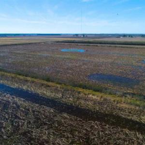 Photo of SOLD!!  72.5 Acres of Productive Farm Land and Duck Impoundment For Sale in Hyde County NC!