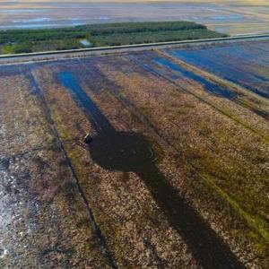 Photo of SOLD!!  72.5 Acres of Productive Farm Land and Duck Impoundment For Sale in Hyde County NC!