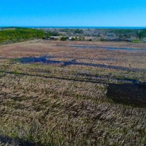 Photo of SOLD!!  72.5 Acres of Productive Farm Land and Duck Impoundment For Sale in Hyde County NC!