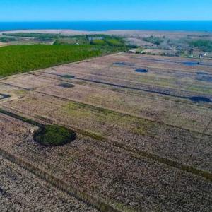 Photo of SOLD!!  72.5 Acres of Productive Farm Land and Duck Impoundment For Sale in Hyde County NC!